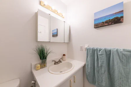 Salle de bains : 4600 Rue René-Émard
